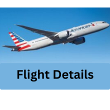 American Airlines