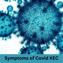 Covid XEC 