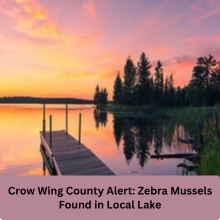 Crow Wing County