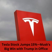 Tesla Stock