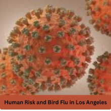 Bird Flu 