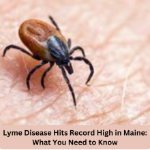 Lyme Disease