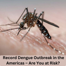 Dengue