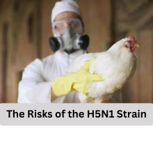 Bird Flu Pandemic