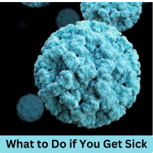 Norovirus 